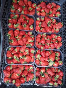 186255506_816875275932620_2317141740835015710_n