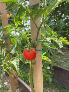 223029927_866362977650516_1711803370659315161_n